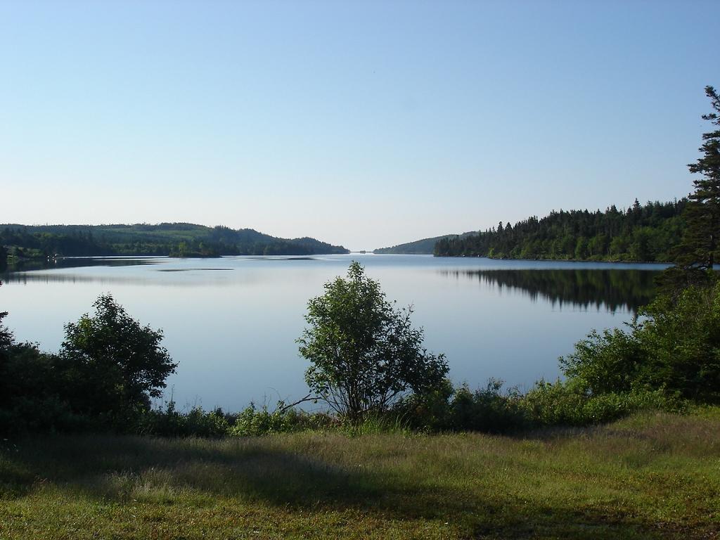 Lonely Rock Seaside Bungalows Larry's River Exterior foto